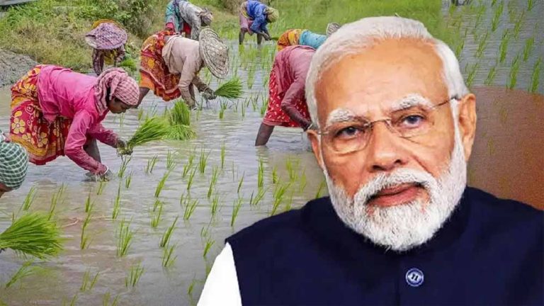कृषि सुधारों पर किसानों की तारीफ, PM मोदी के साहसी कदम की प्रशंसा