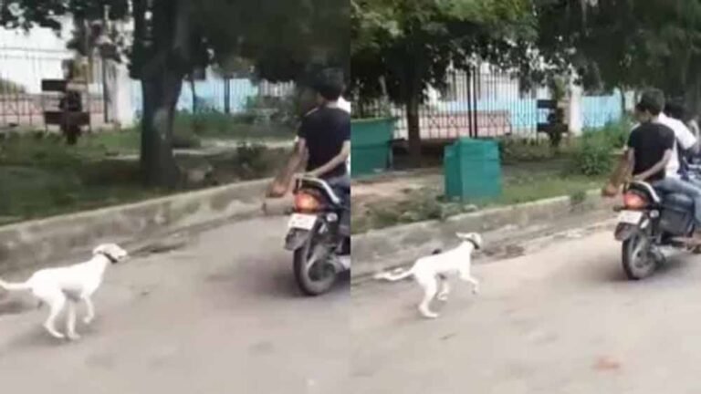 कुत्ते के साथ अत्याचार, रस्सी से बाइक के पीछे बांधकर कई किलोमीटर दौड़ाया गया
