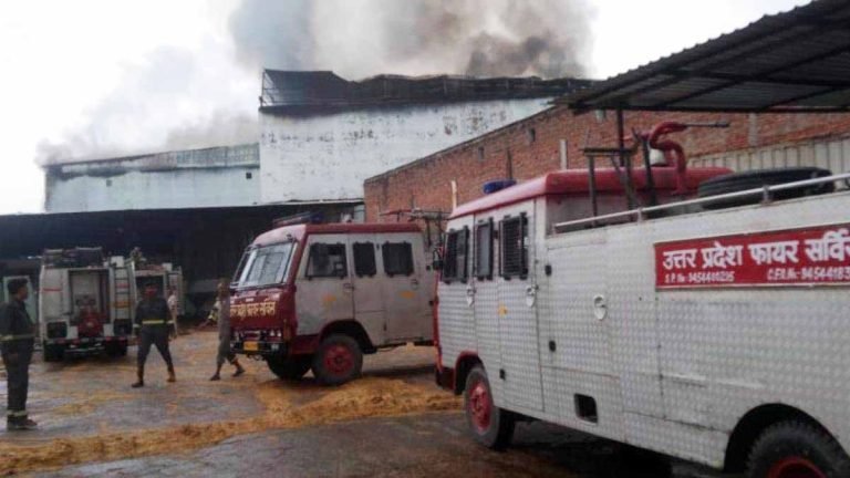 मशरूम प्लांट में शॉर्ट सर्किट से लगी भीषण आग, करोड़ों का नुकसान