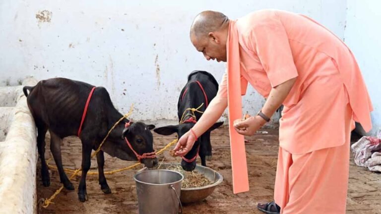 गो सेवा से उत्तर प्रदेश की तरक्की, सीएम योगी के नेतृत्व में पंचगव्य से बायोगैस तक होगा उत्पादन