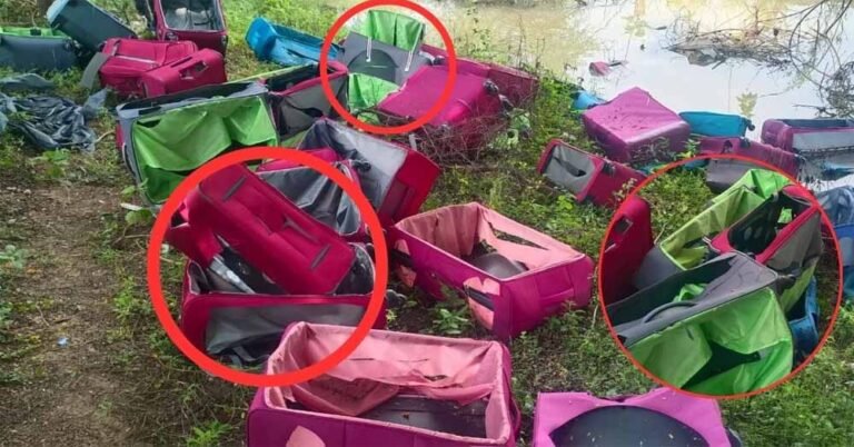 सड़क पर बिखरे नए ट्रॉली बैग: रायपुर में ड्रग्स तस्करी का बड़ा सुराग?