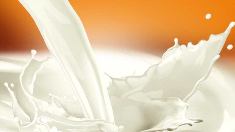 Milk Price Cut: राहत की खबर अधूरी, आपकी थैली वाला दूध रहेगा पहले जैसा महंगा