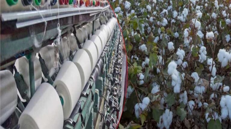 देश की कपास क्रांति का केंद्र बनेगा मध्य प्रदेश, 114 टेक्सटाइल कंपनियां करेंगी निवेश