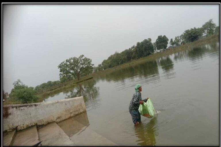 रायपुर: अमृत सरोवर बना आर्थिक उन्नति का जरिया, 650 महिलाओं को मिला रोजगार