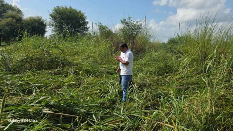 मानसून की कमी ने बढ़ाई परेशानी, राजस्थान के लोग राहत की राह देख रहे