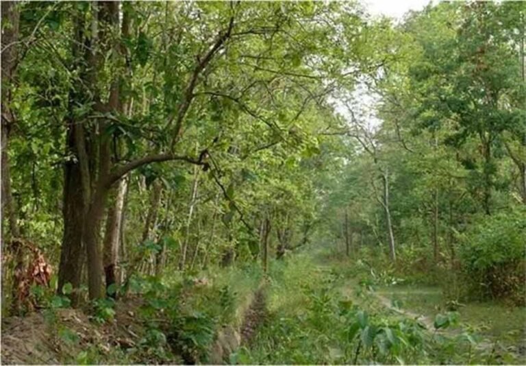 17 सितंबर से दो अक्टूबर तक विभाग चलाएगा विशेष स्वच्छता अभियान