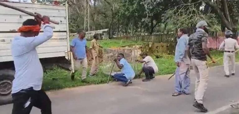 वन विभाग का अभियान: शहर से बंदरों का पकड़ा-धकड़ी अभियान जारी