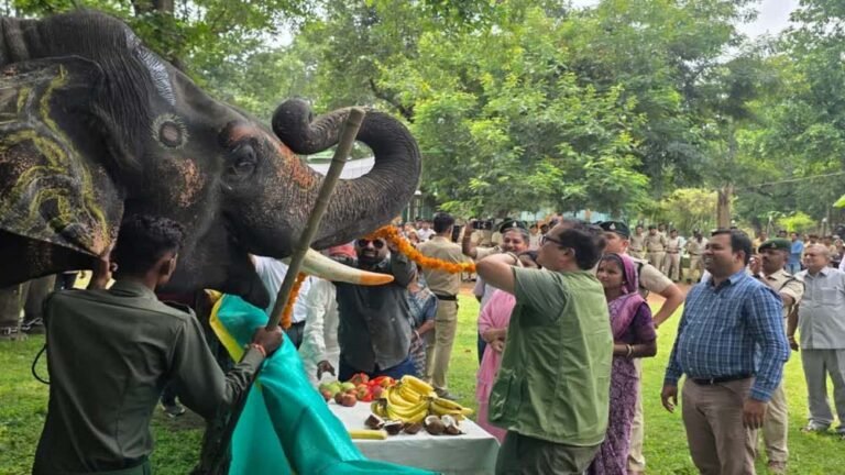 हाथी महोत्सव: हाथियों का होगा श्रृंगार, मिलेगा मनपसंद खाना