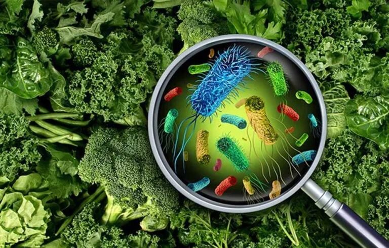 मेलियोइडोसिस का खतरा बढ़ा! मध्यप्रदेश समेत 4 राज्यों में अलर्ट, गलत इलाज बना जानलेवा