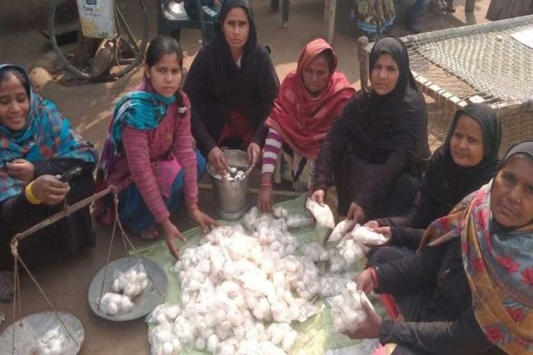 नेहा की अगुआई में एकता समूह की सभी 10 सदस्य बन चुकी हैं सफल उद्यमी