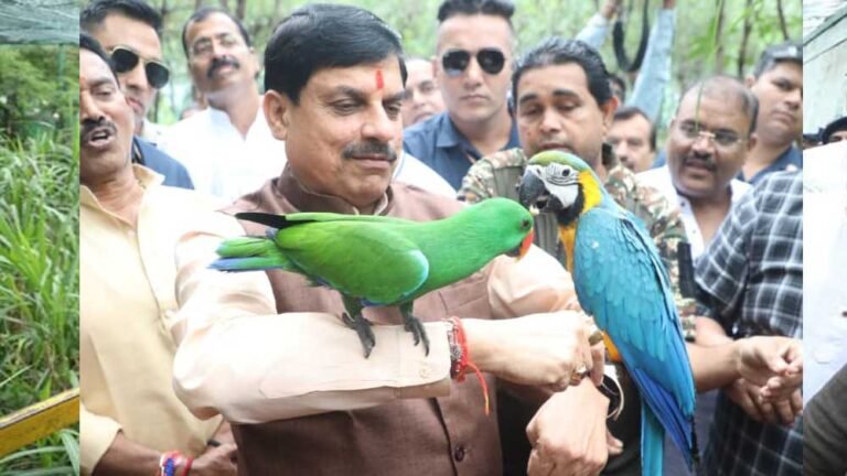 वन्य जीव संपदा से लगातार समृद्ध हो रहा है मध्यप्रदेश: मुख्यमंत्री डॉ. यादव