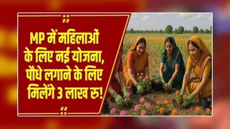 फलों से भरी बगिया का तोहफा! ‘एक बगिया मां के नाम’ योजना में महिलाओं को सब्सिडी सीधे खाते में