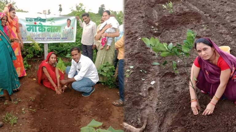 एक बगिया मां के नाम’: पर्यावरण सुधार और महिलाओं के आर्थिक सशक्तिकरण की पहल