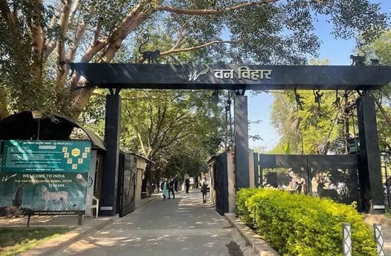 गोल्फ कार्ट सेवा, किराया तय  इस महीने से वन विहार में निजी वाहनों की एंट्री बंद, गोल्फ कार्ट सेवा से होगी सुविधा