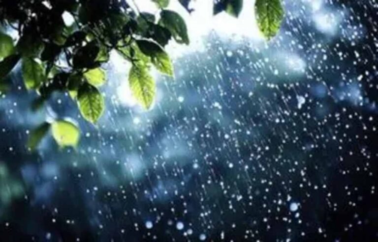 मौसम विभाग की चेतावनी: 20-24 सितंबर तक इन राज्यों में मूसलधार बारिश के आसार