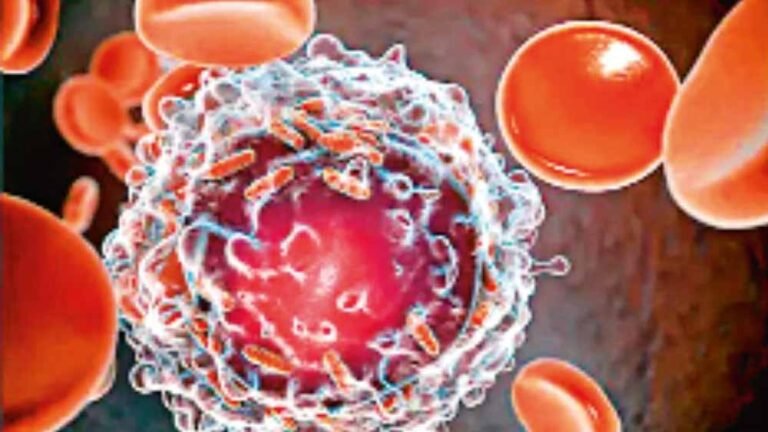 कैंसर मरीजों के लिए उम्मीद की किरण: IIT मद्रास ने लॉन्च किया जीनोम और टिशू बैंक