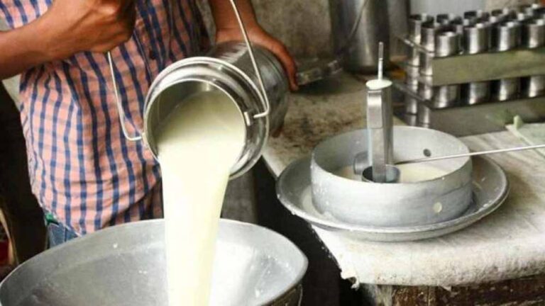 दुग्ध उत्पादकों के लिए बड़ी खबर: 2 अक्टूबर से प्रदेश में लगने वाला समृद्धि अभियान