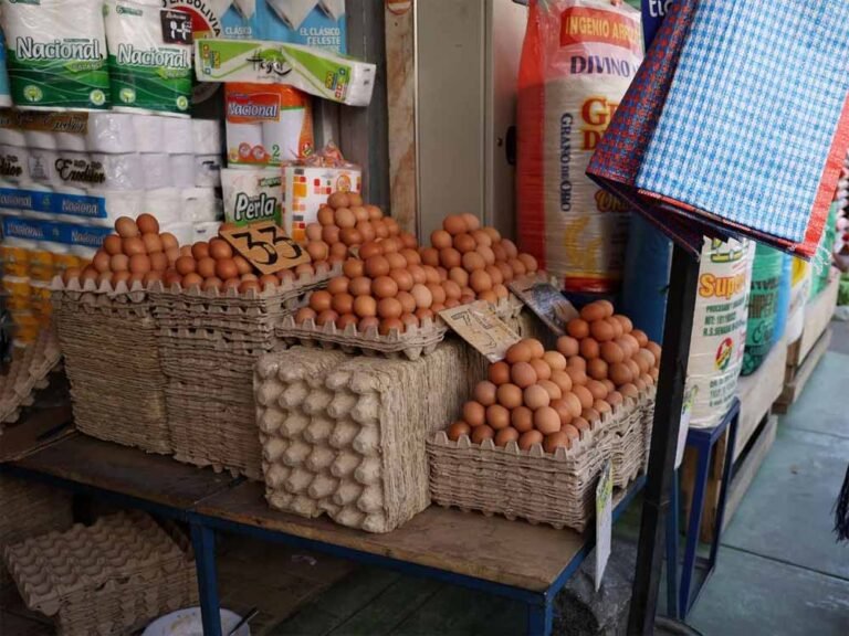 32 साल का पहला झटका: अमेरिका की रूस नीति फेल, विदेश से अंडे खरीदने पर विवश