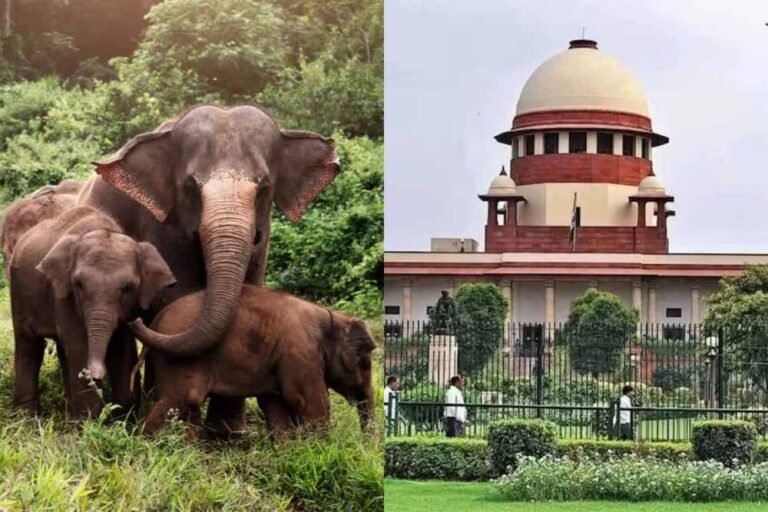 जामनगर को वन्यजीव संरक्षण हेतु सुप्रीम कोर्ट से हरी झंडी