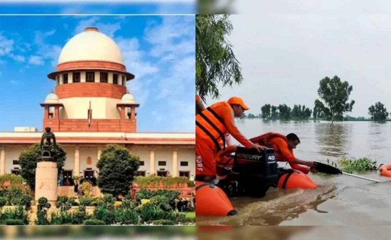 बाढ़ और पर्यावरण पर हाईकोर्ट का सख्त रुख: अवैध कटाई रोकने के लिए जारी नोटिस