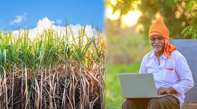 छोटे किसानों के लिए खुशखबरी, पेराई सत्र 2025-26 की गन्ना नीति जारी