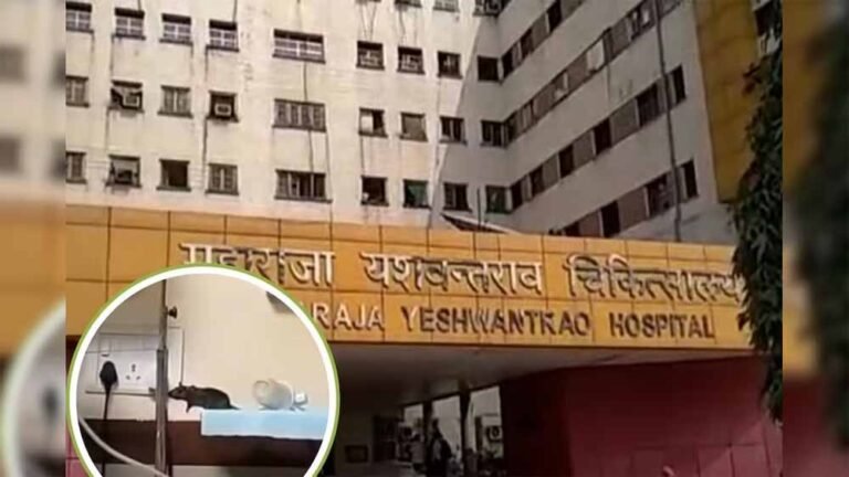 नवजातों को कुतरा चूहे ने, MY अस्पताल में खराब हालतों पर सवाल खड़े