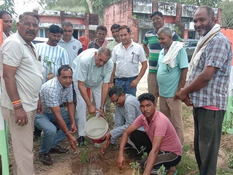 नगरीय निकायों में शुरू हुआ सेवा पखवाड़ा