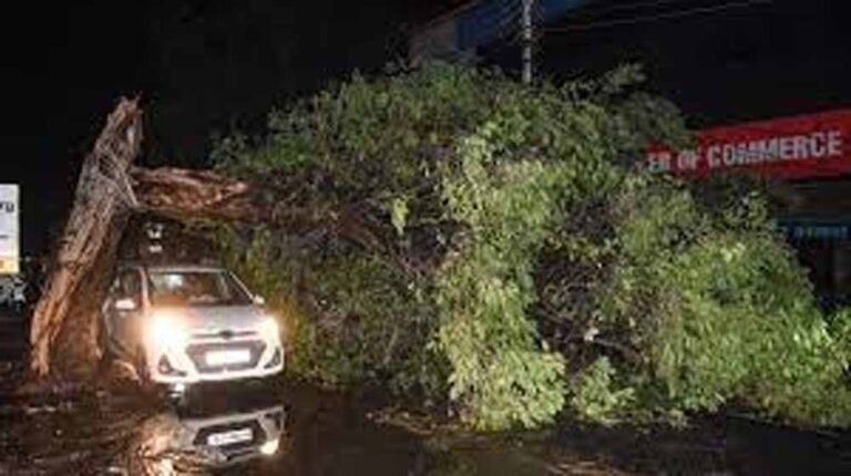 मूसलाधार बारिश के बाद लखनऊ में बड़ा हादसा, पेड़ गिरने से एक की मौत, कई दबे
