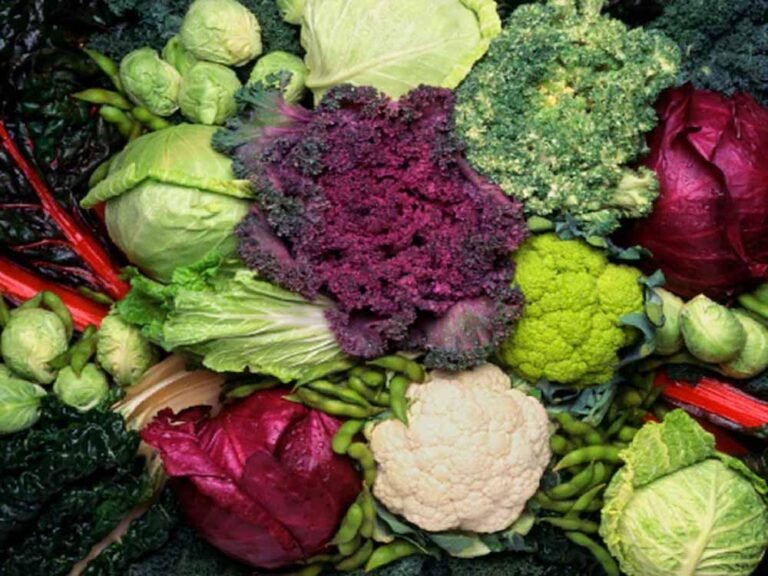 किसानों के लिए बंपर खबर: सितंबर में बोएं ये फसलें, जल्दी तैयार और मुनाफा गारंटीड!