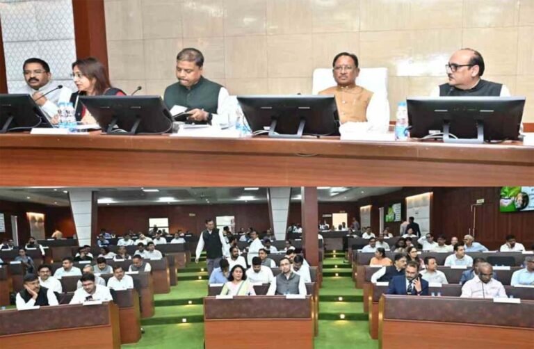 वन विभाग की कार्यप्रगति पर CM साय की समीक्षा, कलेक्टर-डीएफओ बैठक