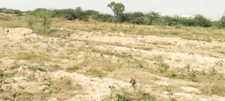 गबन या व्यवस्थापन की कमी? 31 करोड़ खर्च के बावजूद पौधरोपण फेल, हरियाली रह गई सपनों में