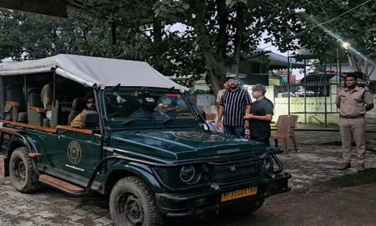 टाइगर रिजर्व और नेशनल पार्क में फिर गुलजार, पन्ना सफारी का शुभारंभ, पर्यटकों में उत्साह