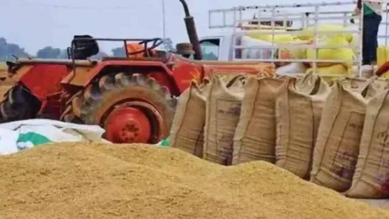 धान खरीदी के लिए एग्रीस्टैक पोर्टल पर किसान पंजीयन अनिवार्य, 31 अक्टूबर अंतिम तिथि