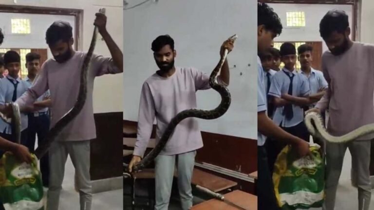 क्लासरूम में घुसा विशाल अजगर , छात्रों में मची अफरातफरी, रेस्क्यू ऑपरेशन सफल