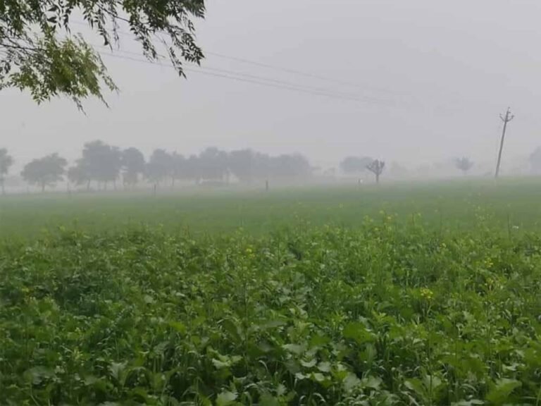 राजस्थान में ठंड का जोर, जानें कब तक जारी रहेगा असर और मिलेगी राहत