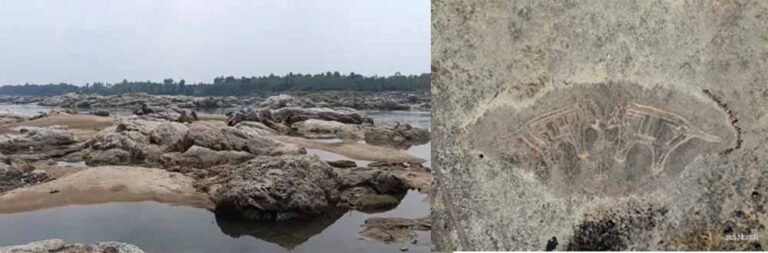 पत्थर में बसी कला: गायखुरी रंगोली ने बना दी मिसाल