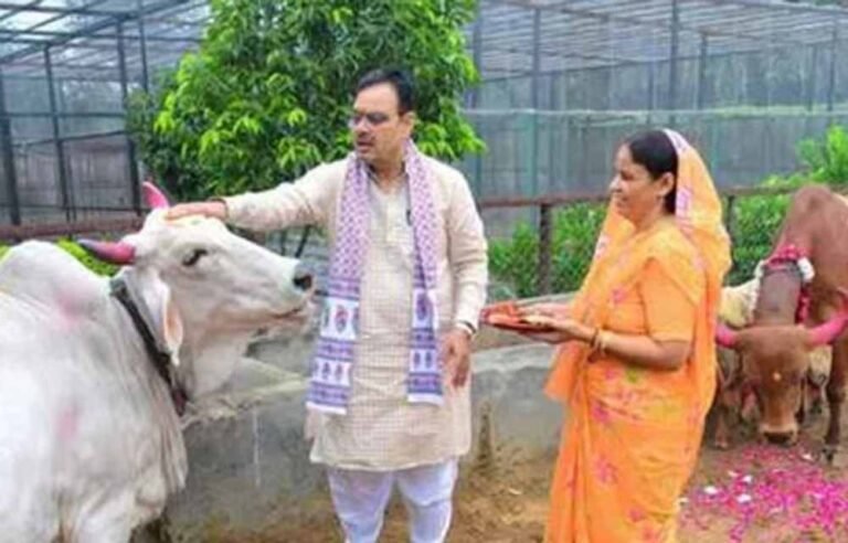 गौसंवर्धन से ही समृद्धि का मार्ग: गोपाष्टमी पर सीएम का संदेश