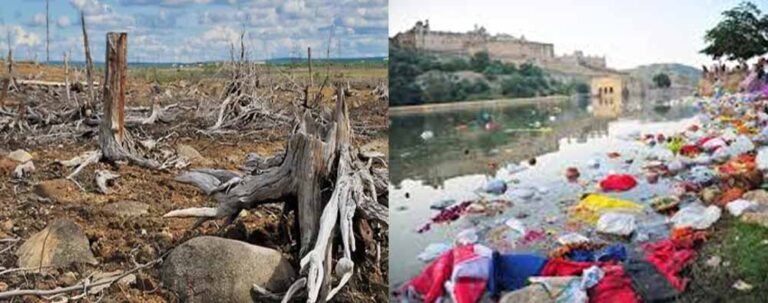 देशभर में पर्यावरण अपराध: राजस्थान की स्थिति चिंताजनक