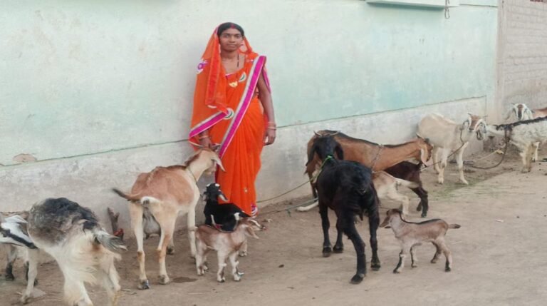 रायपुर : महतारी वंदन योजना ने बदली श्यामा की ज़िंदगी, बनी आत्मनिर्भरता की मिसाल