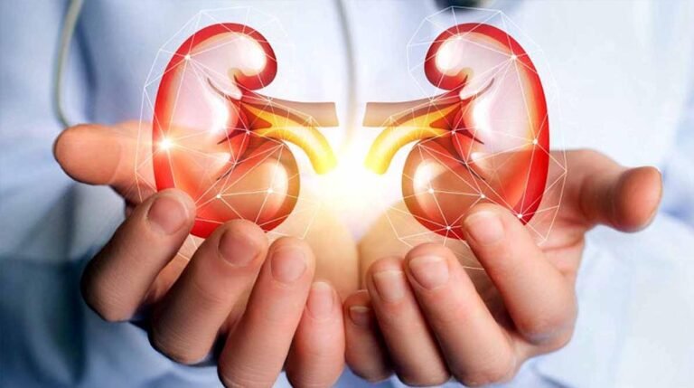 मेडिकल क्षेत्र में बड़ी सफलता: यूनिवर्सल किडनी बनी, हर ब्लड ग्रुप के लिए काम आएगी