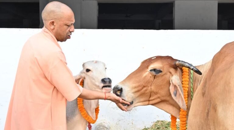 वैदिक मंत्रोच्चार के बीच गोपूजन के बाद सीएम ने गायों-गोवंश को खिलाया गुड़-केला