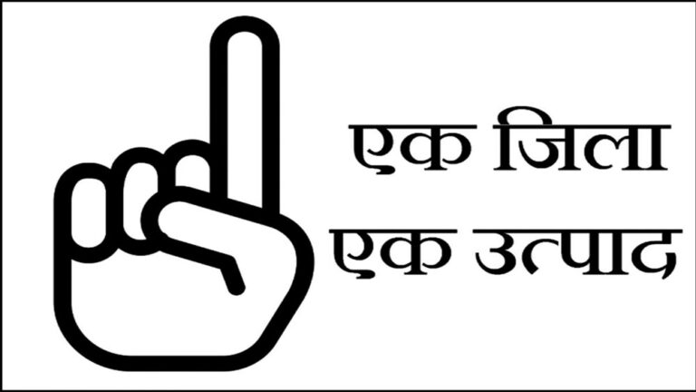 विशेष आर्टिकल :एक जिला एक उत्पाद: स्थानीय हुनर से वैश्विक पहचान तक उत्तर प्रदेश की सफलता गाथा