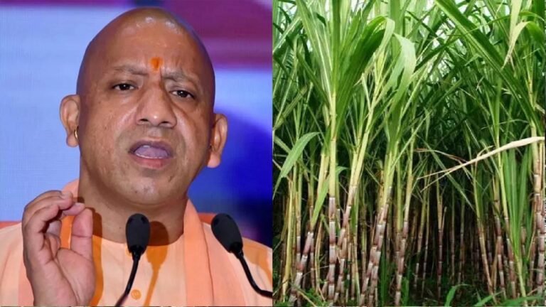 योगी सरकार का बड़ा तोहफा: गन्ने के मूल्य में प्रति क्विंटल ₹30 की वृद्धि