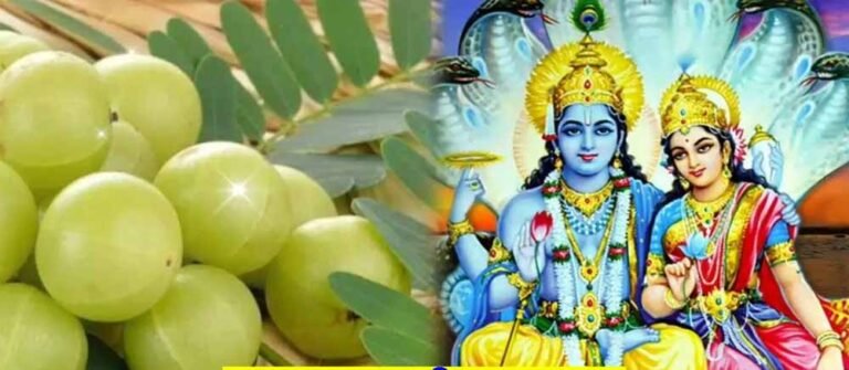 आंवला नवमी पर पढ़ें मां लक्ष्मी की पौराणिक कथा, दूर होगी दरिद्रता और मिलेगा आशीर्वाद