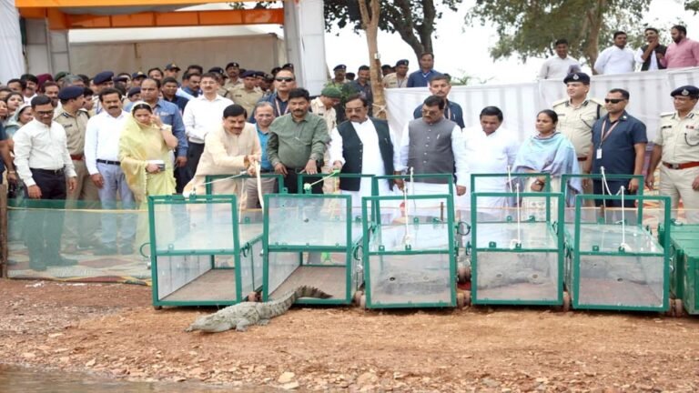 मुख्यमंत्री डॉ. यादव ने माँ नर्मदा नदी के पावन जल में 6 मगरमच्छों का कराया जलप्रवेश