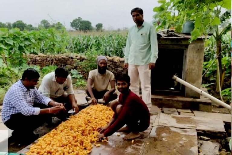 प्रधानमंत्री कृषि सिंचाई योजना का असर: MP के किसान क्लस्टर मॉडल से कर रहे तरक्की