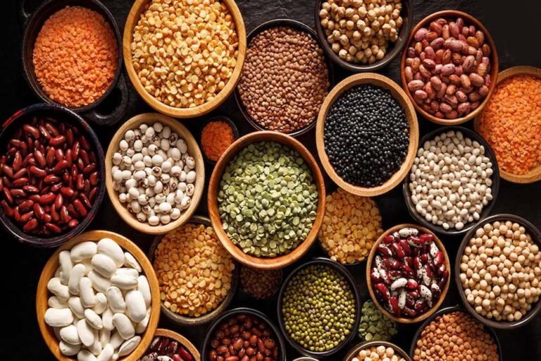 दलहन आत्मनिर्भर भारत की ओर कदम: शिवराज सिंह ने लॉन्च किया MSP प्लान, हर बेघर को मिलेगा घर