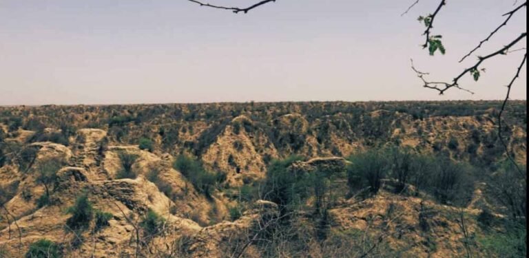 उज्जवल भविष्य की ओर कदम: चंबल के बीहड़ में सौर ऊर्जा का नया अध्याय