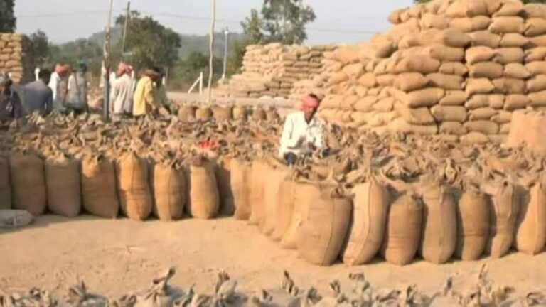 धान किसानों के लिए बड़ी खबर: 15 नवंबर से खरीदी अभियान की शुरुआत