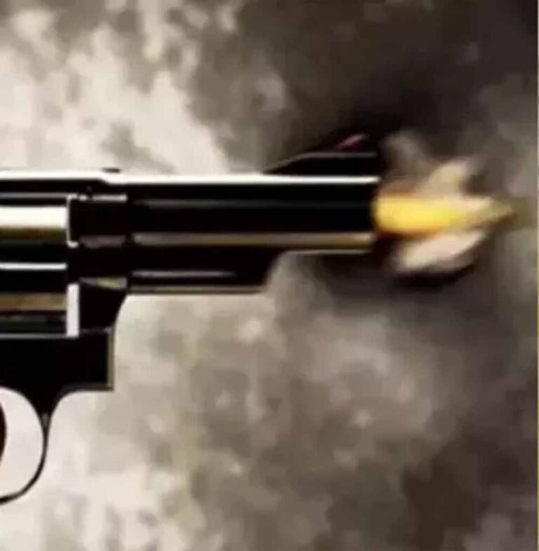 पढ़ाई के लिए अमेरिका गया भारतीय छात्र बना हिंसा का शिकार, गोली लगने से मौत